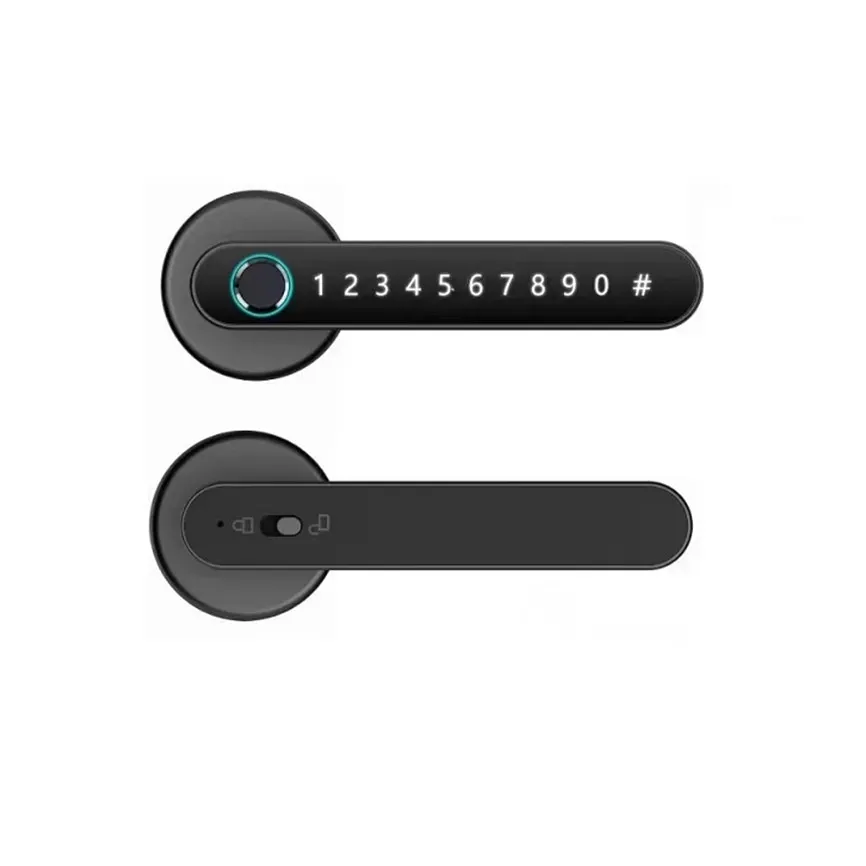 Smart lock Smart locks Tuya App H24 Black Tbilisi - photo 1