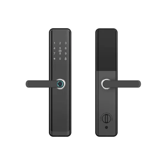 Smart lock Smart locks Tuya App H12-P Black Tbilisi