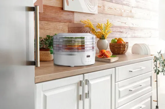 Сушилка для продуктов и овощей ETA 730190000 Secca белая Тбилиси