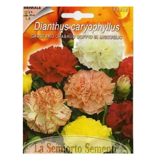 Მიხაკის თესლი Carnation Doppio in MIX თბილისი