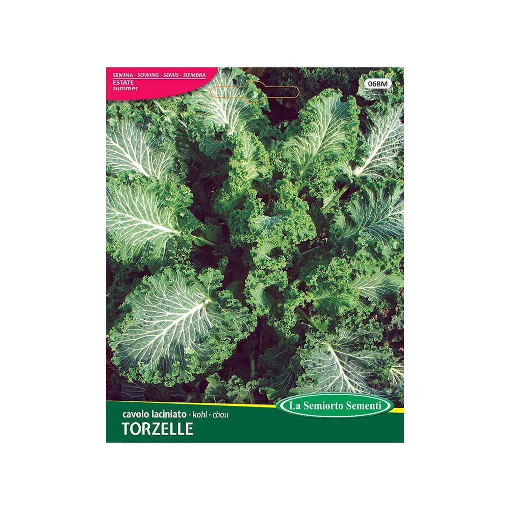 Cabbage Seeds Curly Kale Dwarf Green Curled 068-MAXIOr Tbilisi - photo 1