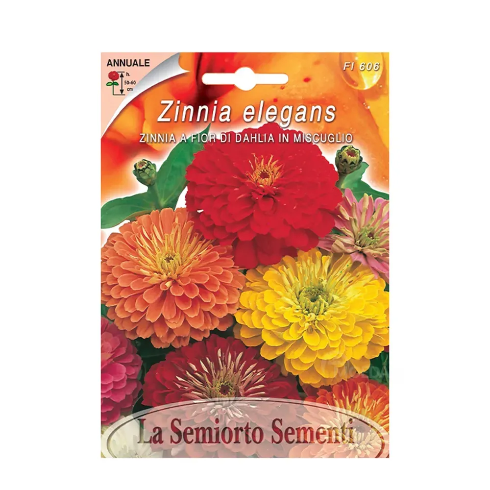 Zinnia Seeds Zinnia A Fior DI Dahlia IN MIX Fi606-MAXIFlor Tbilisi - photo 1