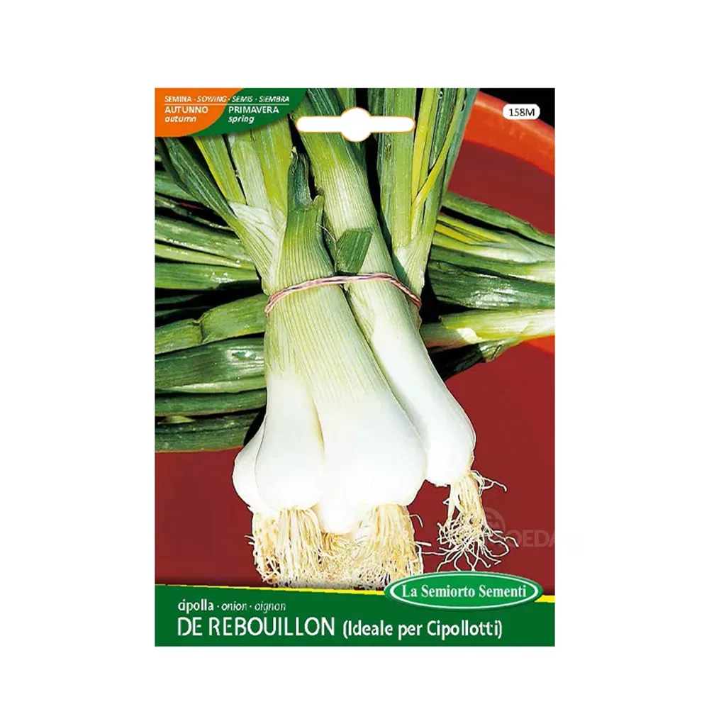 Семена лука Onion DE Rebouillon 158-MAXIOr Тбилиси - изображение 1