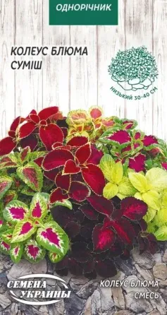 Coleus seeds Bloom 0.05 g Tbilisi