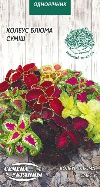 Coleus seeds Bloom 0.05 g Tbilisi - photo 1