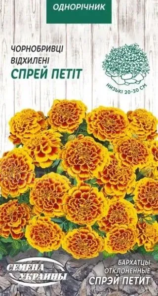 Saffron Seed Spray Petit 0.5 g Tbilisi - photo 1