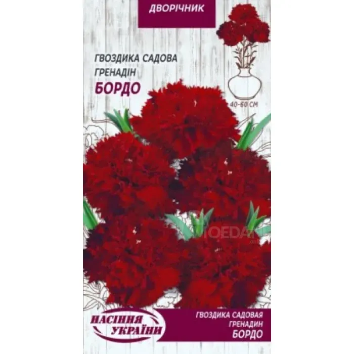 Clove seeds Bordeaux 0.1 g Tbilisi - photo 1