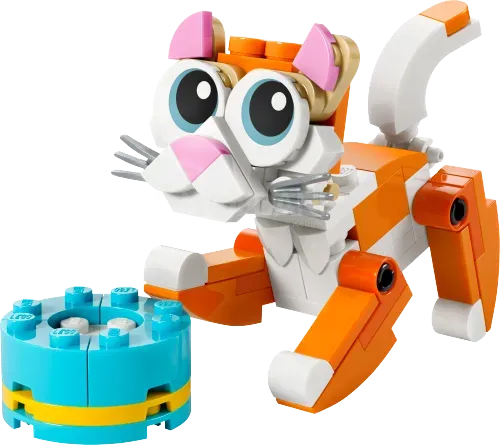 Структура хранения Orange CAT Тбилиси - изображение 1