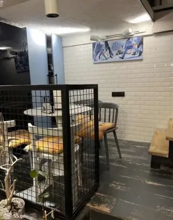 იყიდება 5 ოთახიანი ბინას 121მ² 1/5 სართ თბილისი