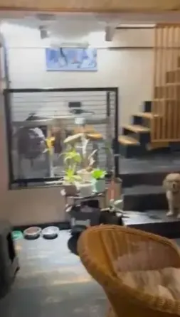 Semi-basement commercial space for sale in Saburtalo Tbilisi