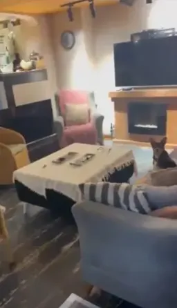 Semi-basement commercial space for sale in Saburtalo Tbilisi