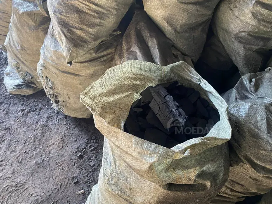 ნახშირის საბითუმო ვაჭრობა თბილისი - photo 5