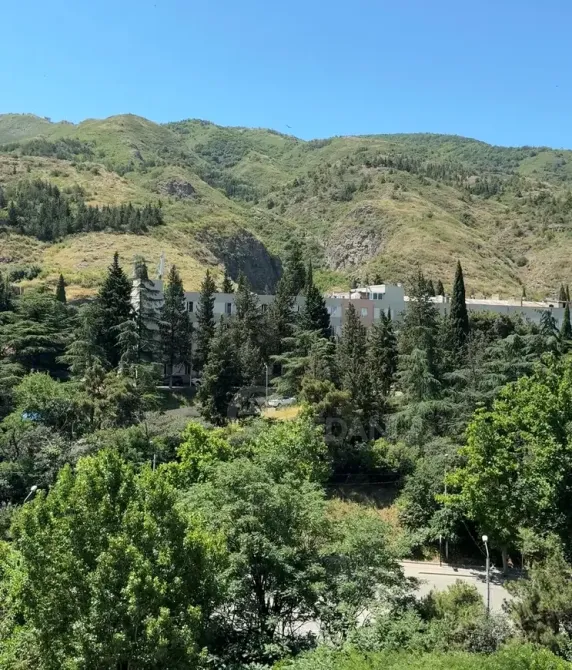 Продам 2-комн. квартиру 51м² 10/19 эт. Тбилиси - изображение 11