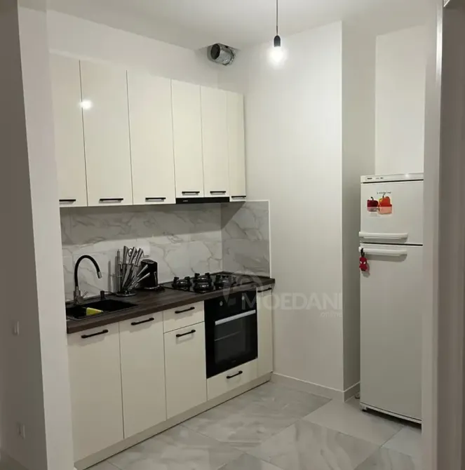 ქირავდება 2 ოთახიანი ბინა 60მ² 16/24 სართ თბილისი - photo 4