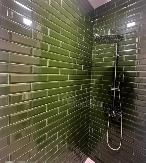 ქირავდება 2 ოთახიანი ბინა 65მ² 9/16 სართ თბილისი - photo 7