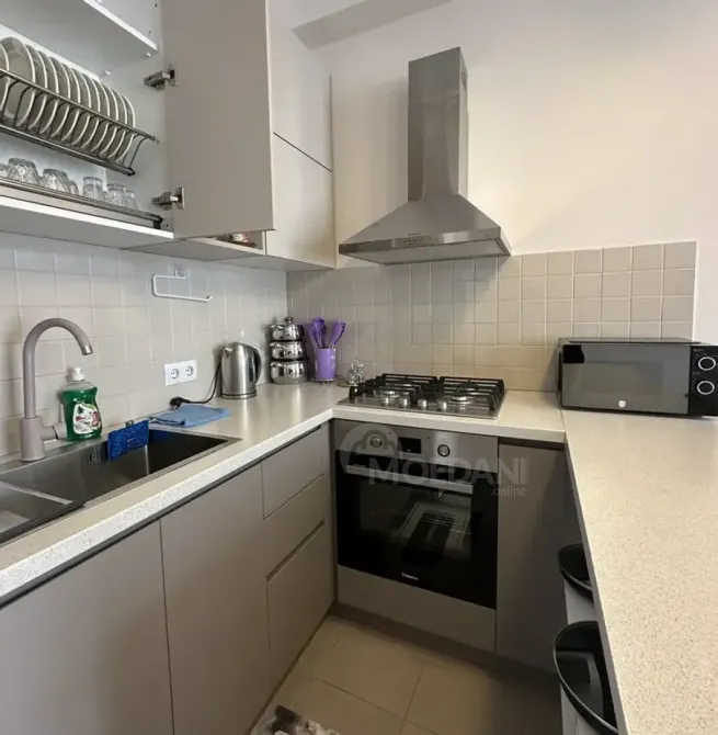 ქირავდება 2 ოთახიანი ბინა 57მ² 8/9 სართ თბილისი - photo 11