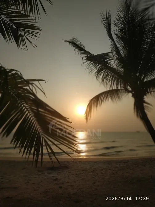 Ищу попутчика, водителя, в возрасте от 30 до 55 лет. Батуми - изображение 1