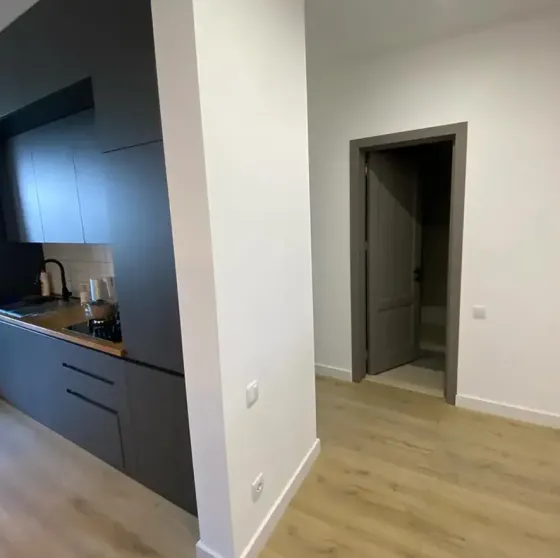 Apartments For Rent one-room 70м² 10/12 floor Tbilisi