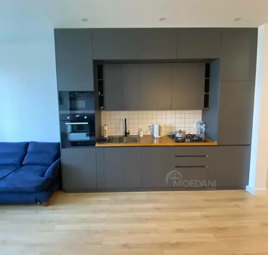 Apartments For Rent one-room 70м² 10/12 floor Tbilisi - photo 1