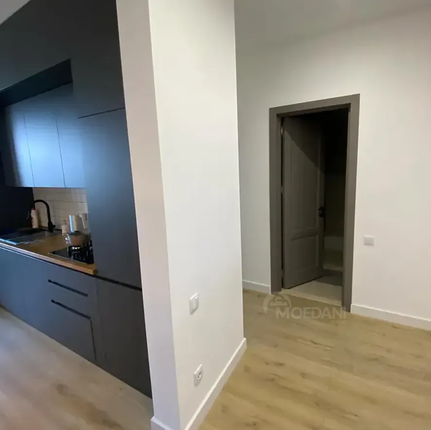 Apartments For Rent one-room 70м² 10/12 floor Tbilisi - photo 4