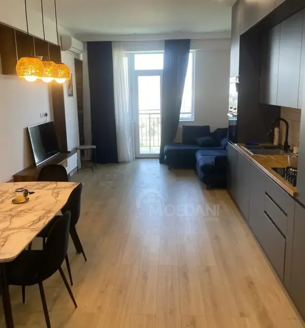 Apartments For Rent one-room 70м² 10/12 floor Tbilisi - photo 9