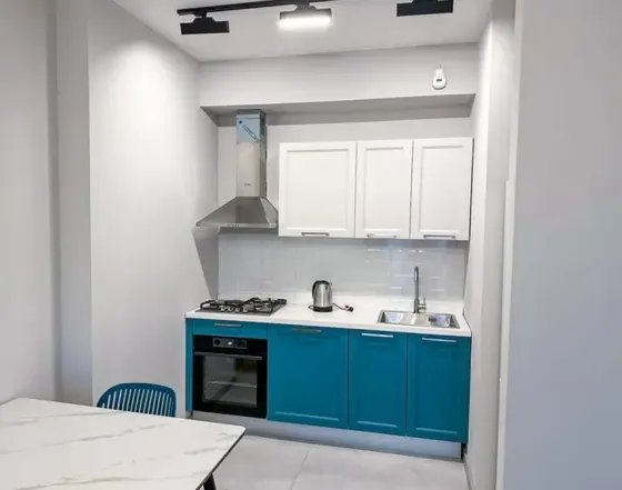 Apartments For Rent two-room 50м² 25/30 floor Tbilisi