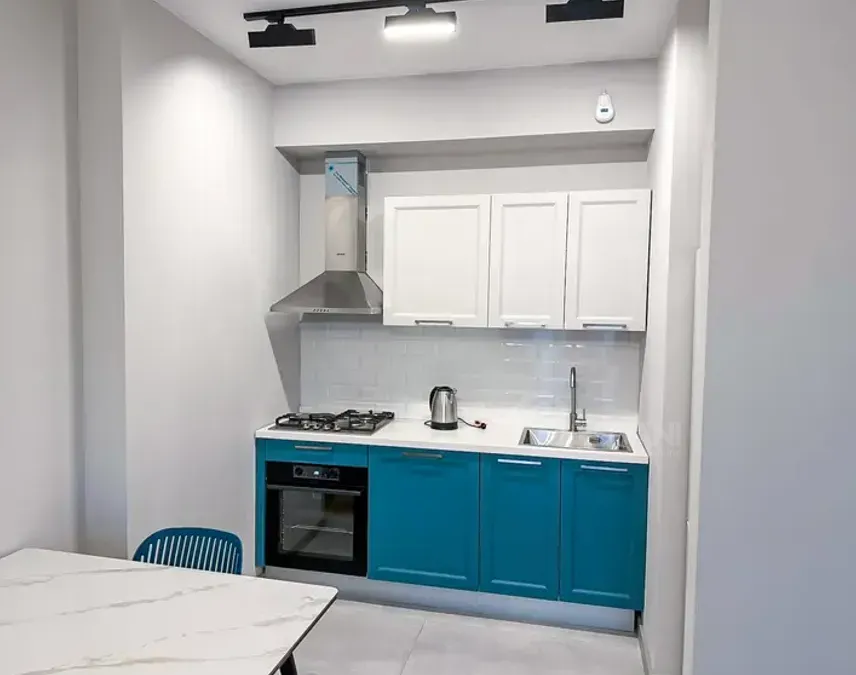 Apartments For Rent two-room 50м² 25/30 floor Tbilisi - photo 4