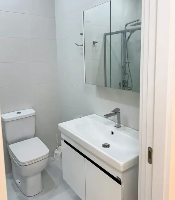 Apartments For Rent two-room 55м² 7/12 floor Tbilisi - photo 7