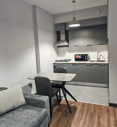 Apartments For Rent two-room 45м² 8/25 floor Tbilisi