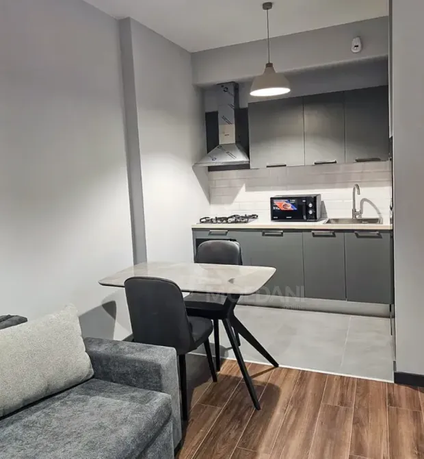 Apartments For Rent two-room 45м² 8/25 floor Tbilisi - photo 1