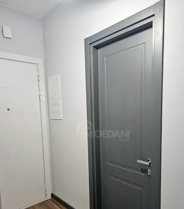 Apartments For Rent two-room 45м² 8/25 floor Tbilisi - photo 8