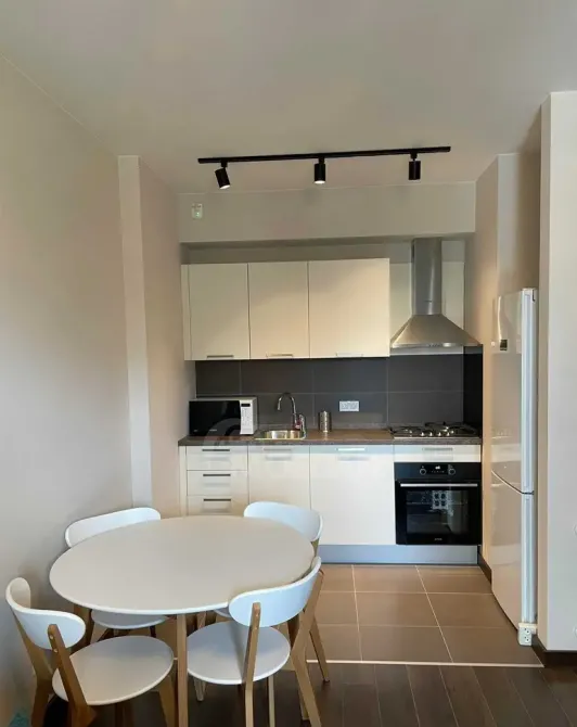 Apartments For Rent two-room 65м² 7/8 floor Tbilisi - photo 1