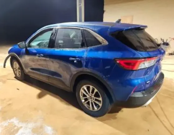 Ford Escape 1.5L 2022 თბილისი