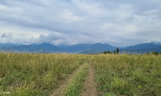 Продам земельный участок 151000м² Кварели