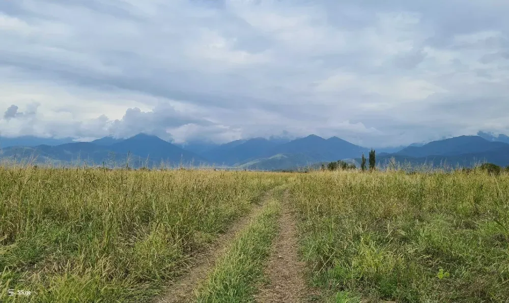 Продам земельный участок 151000м² Кварели - изображение 1