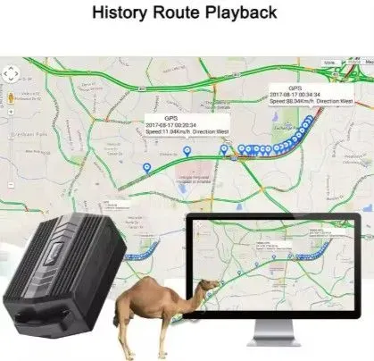 GPS tracker GPS GPS device Tbilisi