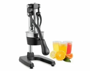 Მექანიკური წვენსაწური თბილისი