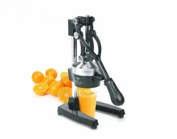 Მექანიკური წვენსაწური თბილისი - photo 3