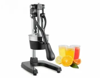 Მექანიკური წვენსაწური თბილისი - photo 2