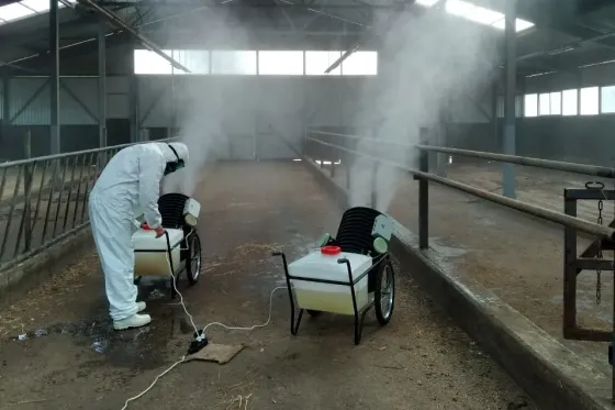 Disinsection and Disinfection Tbilisi