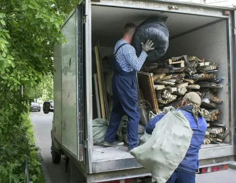 Disinsection and Disinfection Tbilisi - photo 10