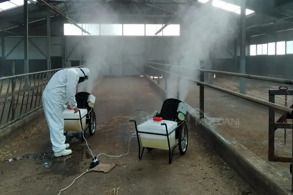 Disinsection and Disinfection Tbilisi - photo 4