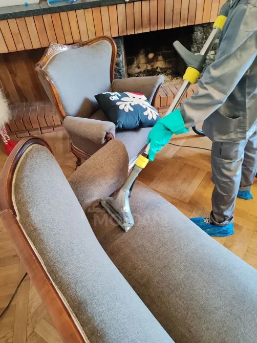 Disinsection and Disinfection Tbilisi - photo 7