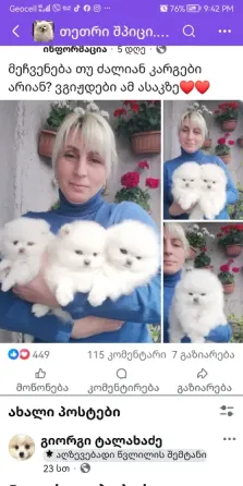 Пицца Тбилиси