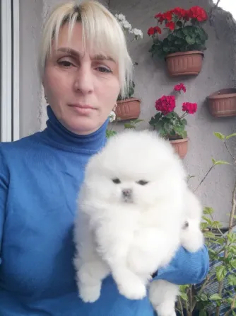 Пицца Тбилиси