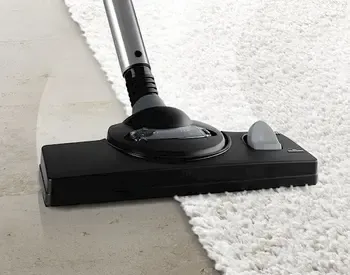Მტვერსასრუტი Bosch Bwd421Pet თბილისი