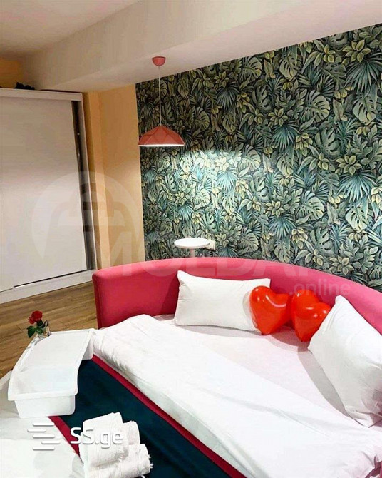 ქირავდება 2 ოთახიანი ბინა 60მ² 3/4 სართ თბილისი - photo 5