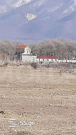 Продается земельный участок в Церовани Тбилиси - изображение 4