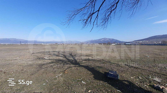 Продается земельный участок в Церовани Тбилиси - изображение 3