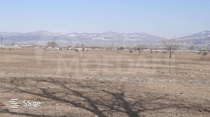 Продается земельный участок в Церовани Тбилиси - изображение 2
